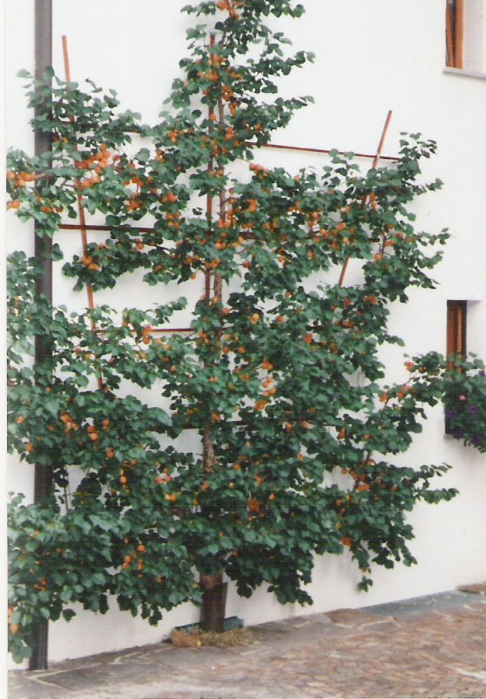 Landhaus Brigitta Innsbruck Exterior photo